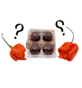 Inferno Peppers - ChocoRoulette - Tarpin Spicy
